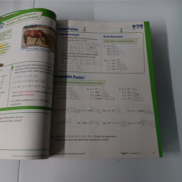 EnVision Math Grade 5 Package Volumes 1 & 2‎ Common Core Workbook Bundle - Picture 10 of 11